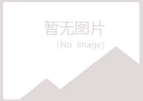 盐池县山柏能源有限公司